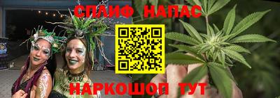 амф Краснознаменск