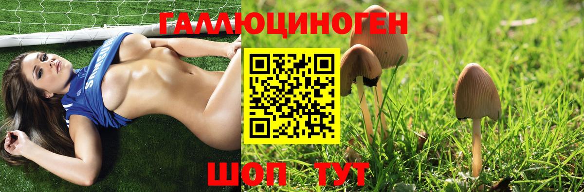 Псилоцибиновые грибы Psilocybe Тобольск
